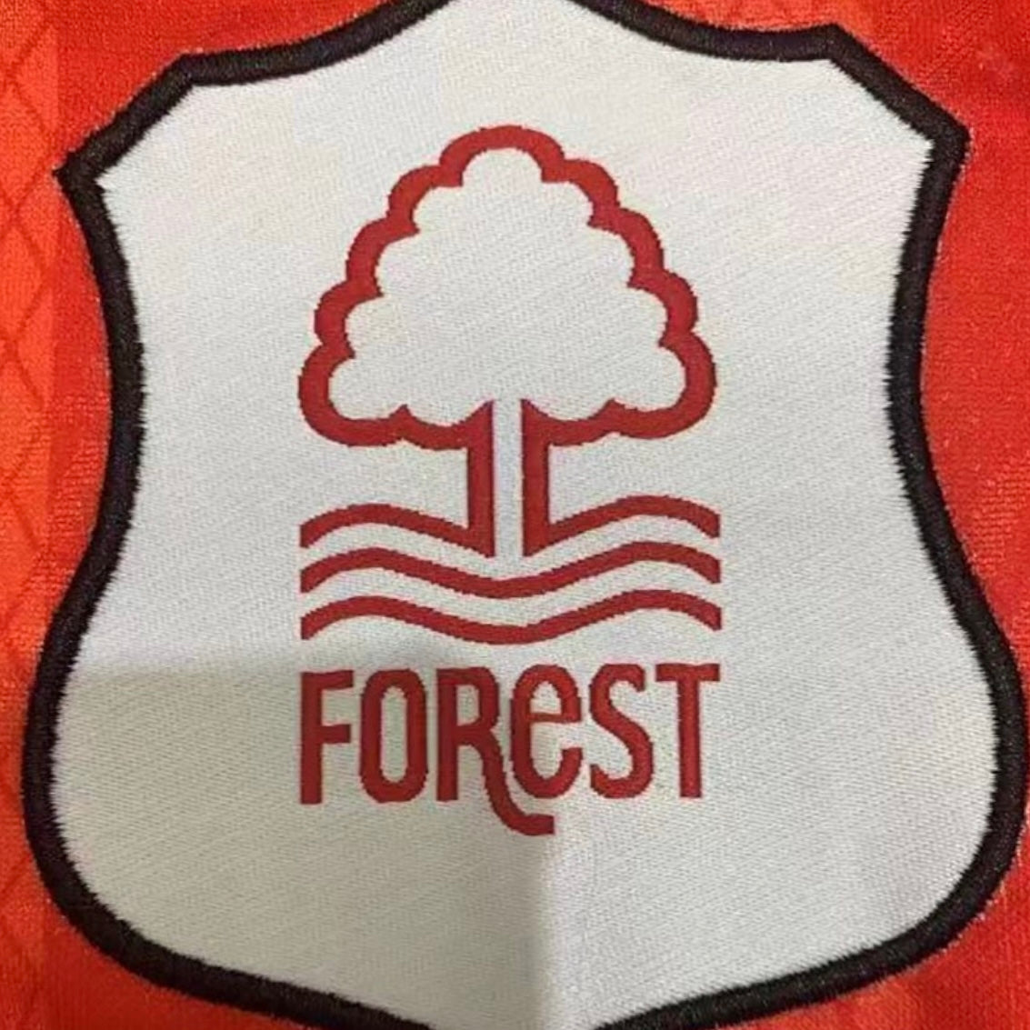 Nottingham Forest Home 1994/95